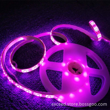 LED Double Body Sensor Bed Light